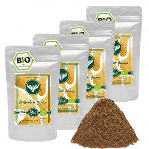 BIO Proteinshake Gewürz (1kg)